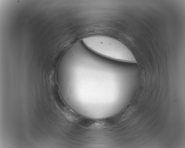 X0000067460364200604070933