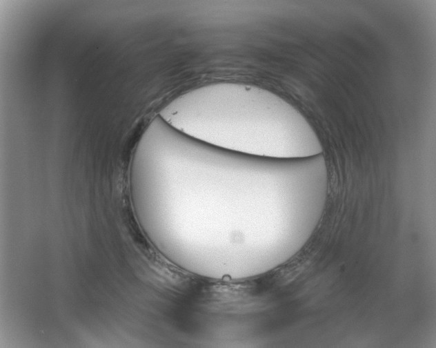 X0000067460367200604070933