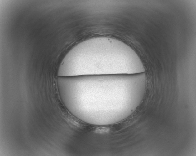 X0000067460369200604070933