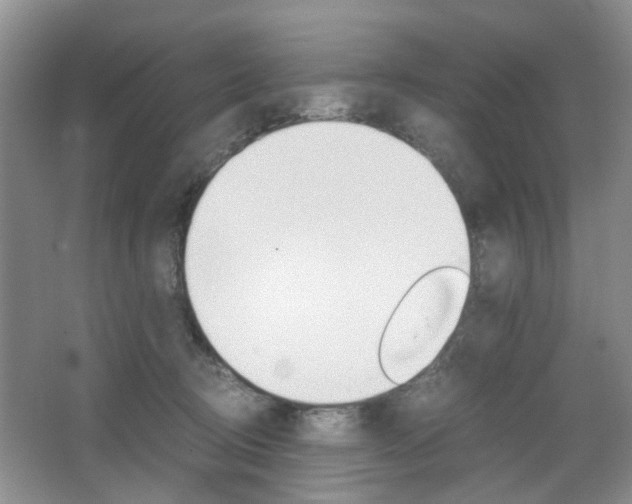 X0000067460370200604070933