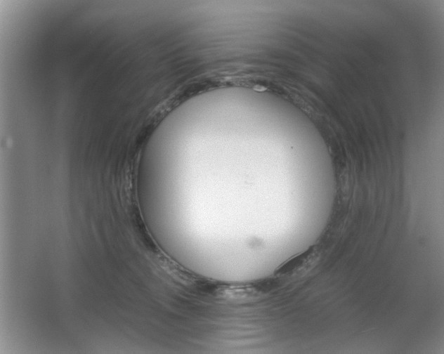 X0000067460372200604070933