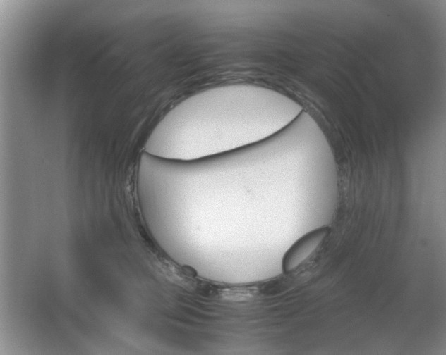 X0000067460373200604070933