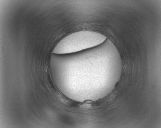 X0000067460374200604070933