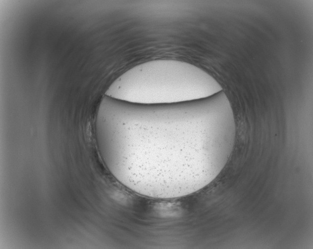 X0000067460375200604070933