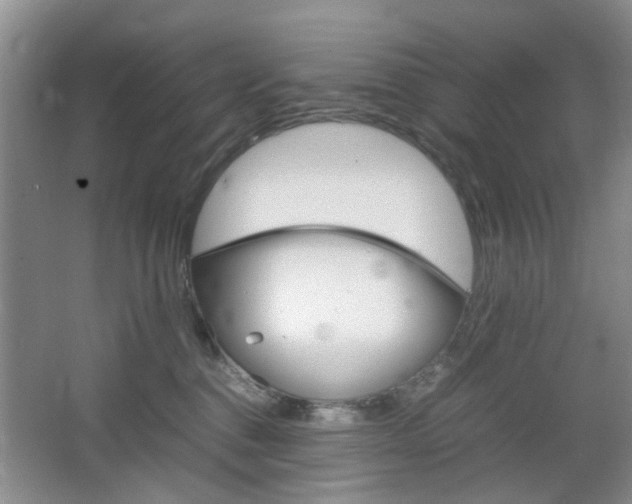 X0000067460376200604070933