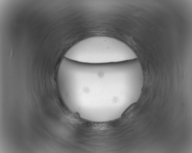 X0000067460377200604070933