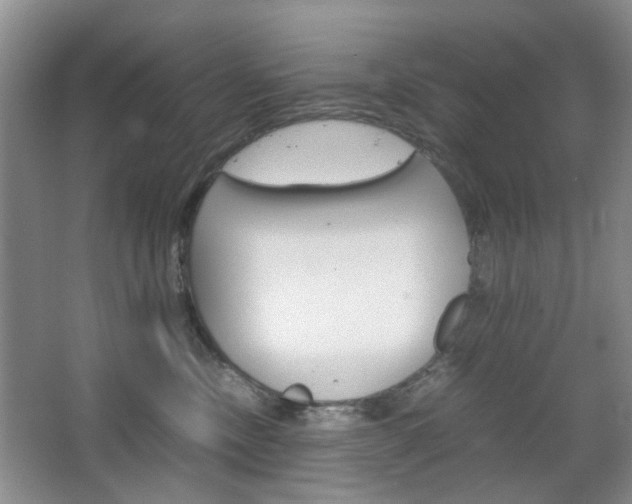 X0000067460378200604070933