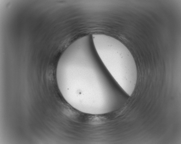 X0000067460379200604070933