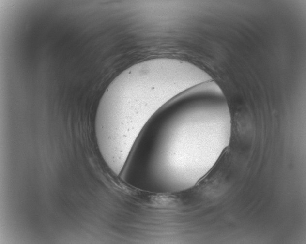 X0000067460380200604070933