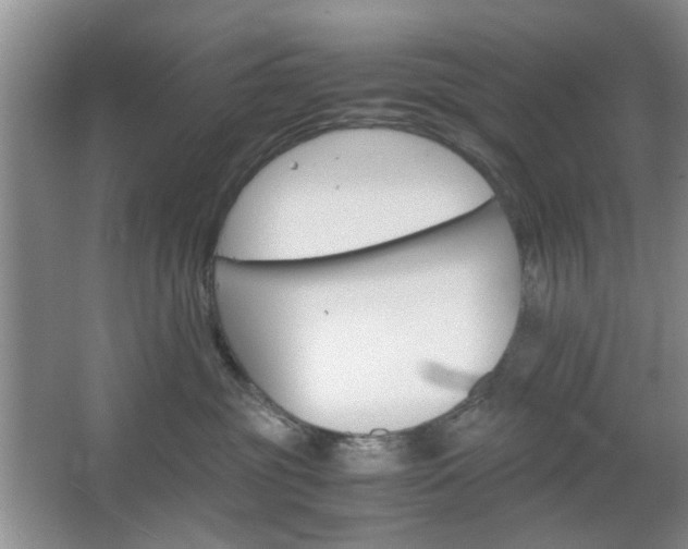 X0000067460381200604070933