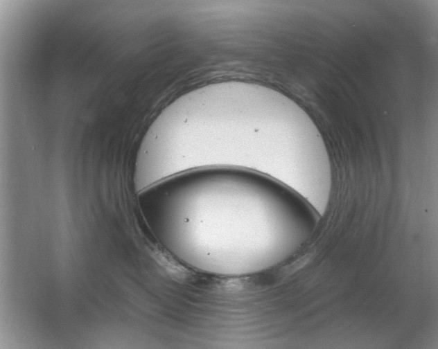 X0000067460382200604070933