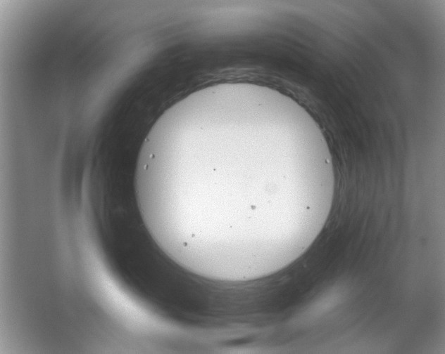 X0000067460383200604070933