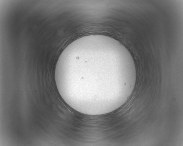 X0000067460384200604070933