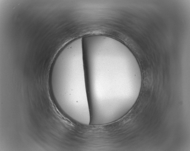 X0000067460386200604070932