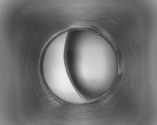 X0000067460387200604070932