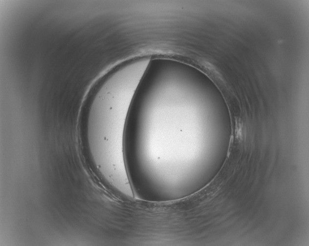 X0000067460388200604070932