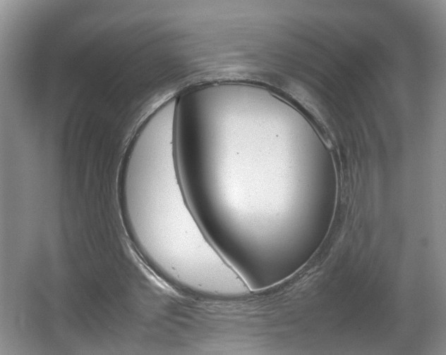 X0000067460389200604070932