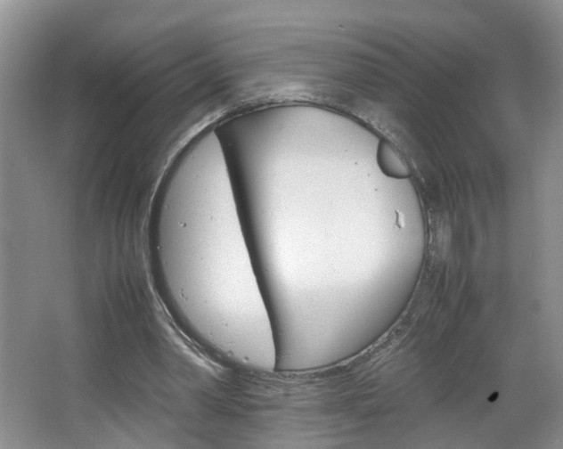 X0000067460390200604070932