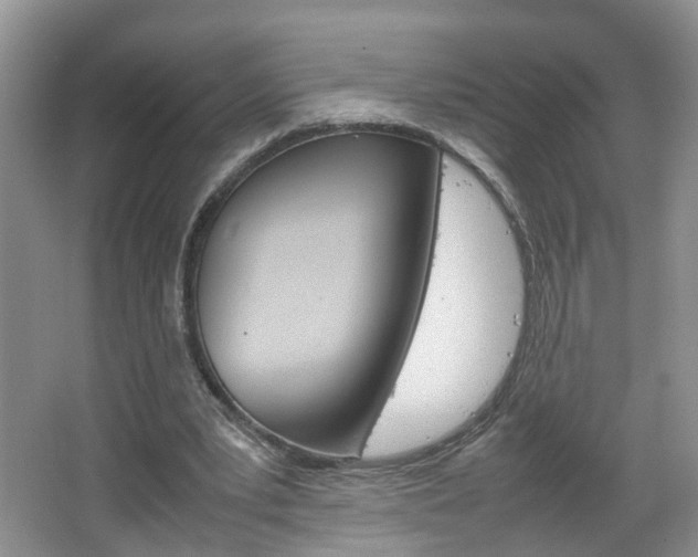 X0000067460391200604070932