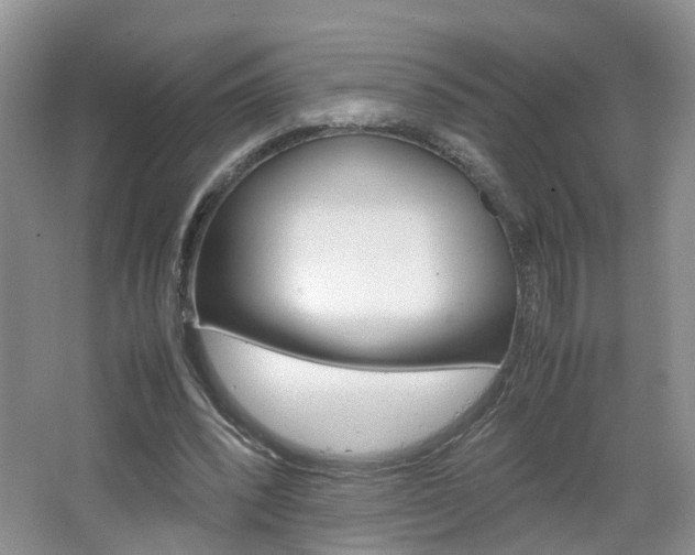 X0000067460392200604070932