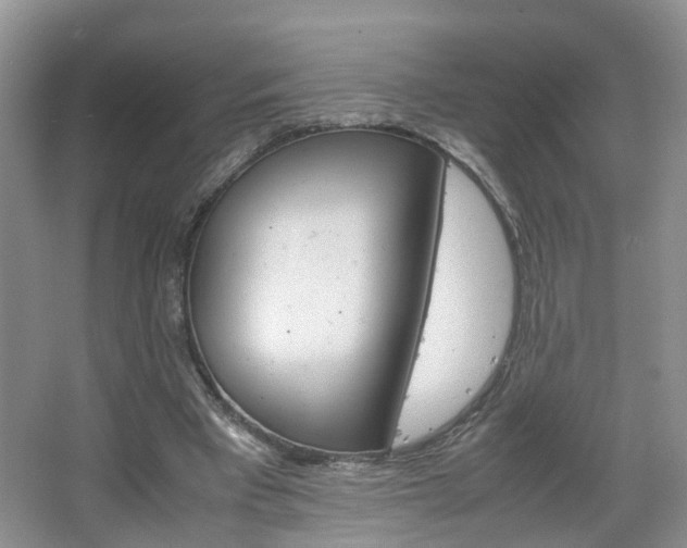 X0000067460393200604070932