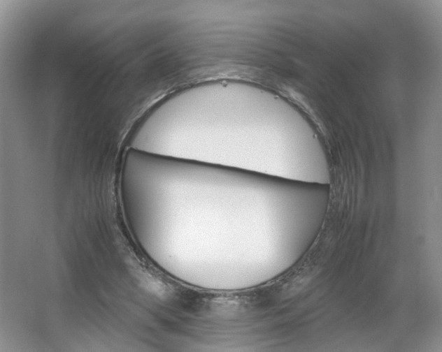 X0000067460394200604070932