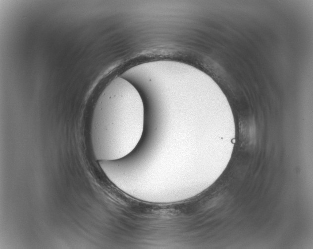 X0000067460396200604070932