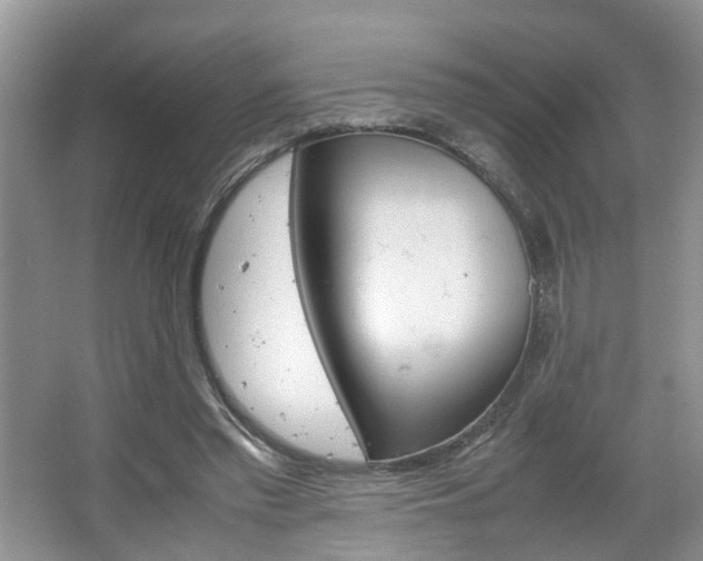 X0000067460397200604070932