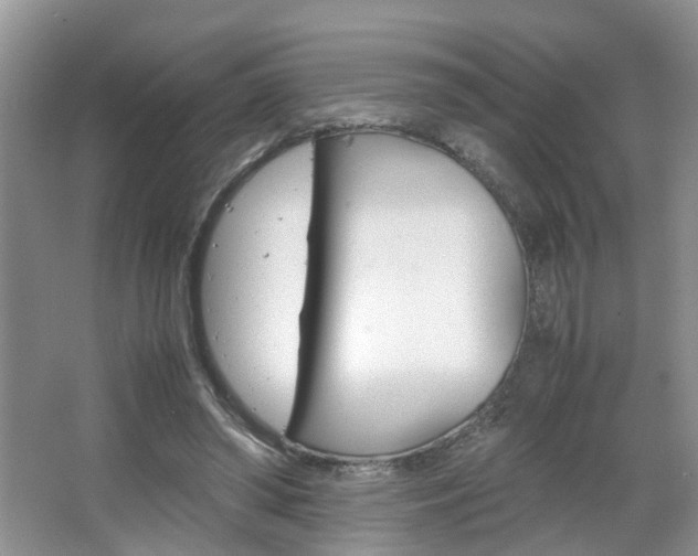 X0000067460398200604070932