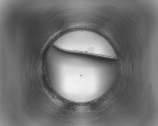 X0000067460400200604070932