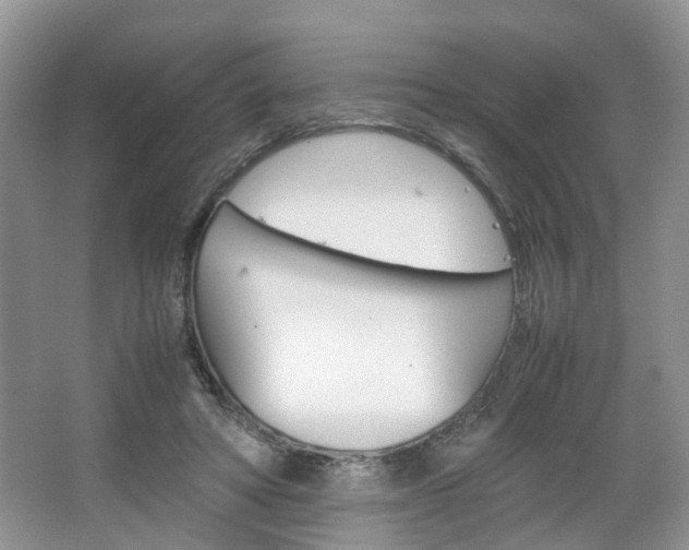 X0000067460402200604070932