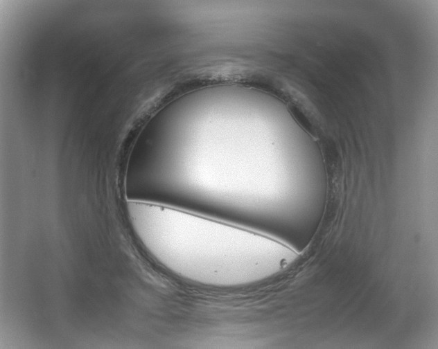 X0000067460403200604070932