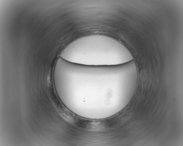 X0000067460406200604070932