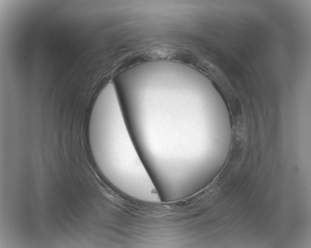 X0000067460409200604070932