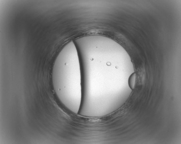 X0000067460410200604070932