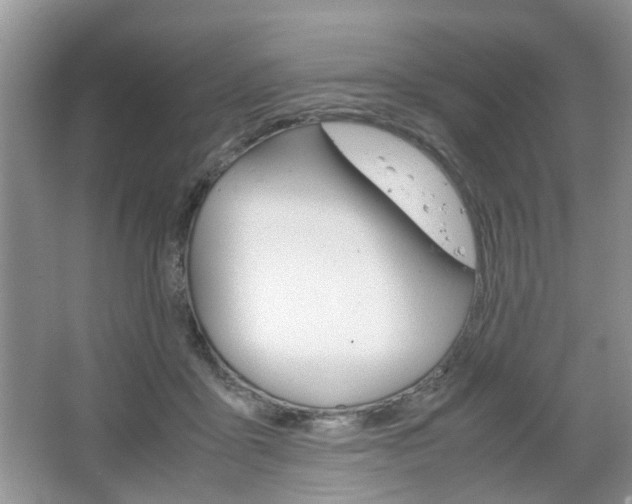 X0000067460411200604070932