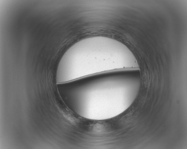 X0000067460412200604070932