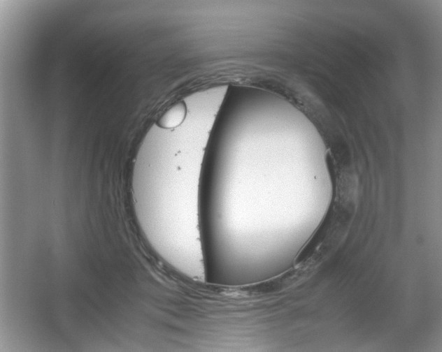 X0000067460413200604070932