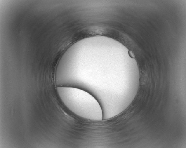 X0000067460414200604070932