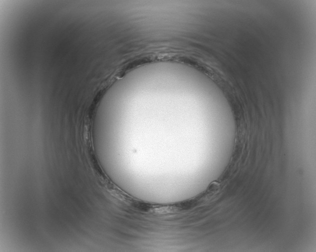 X0000067460417200604070932