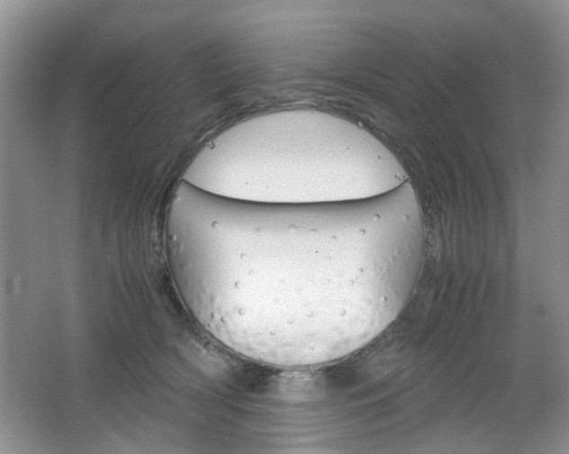 X0000067460418200604070932