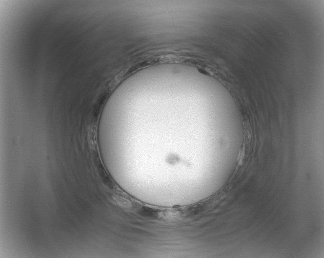 X0000067460419200604070932