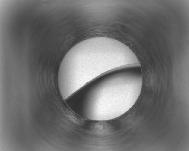 X0000067460420200604070932