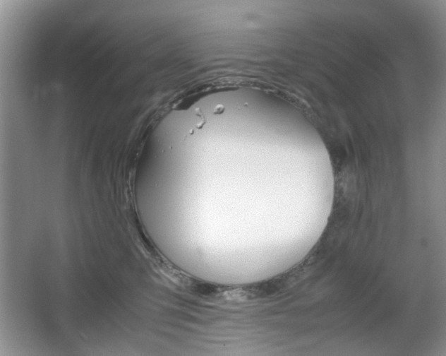 X0000067460423200604070932