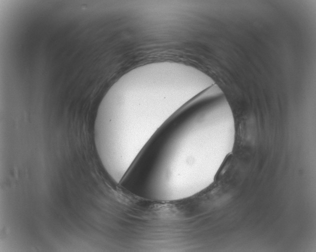 X0000067460424200604070931