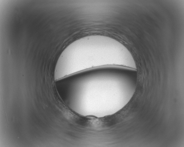 X0000067460425200604070931