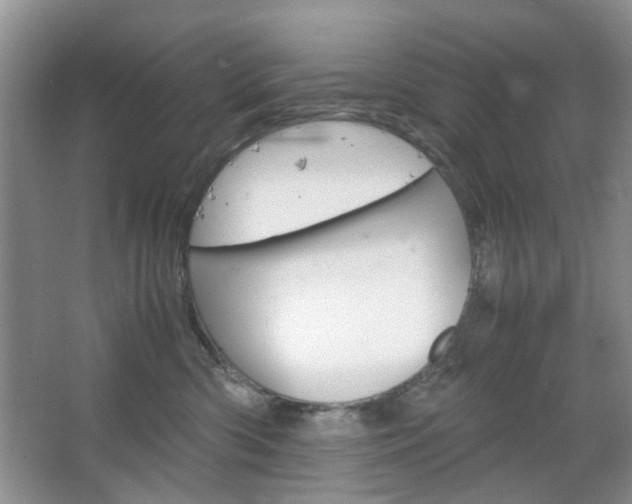 X0000067460426200604070931