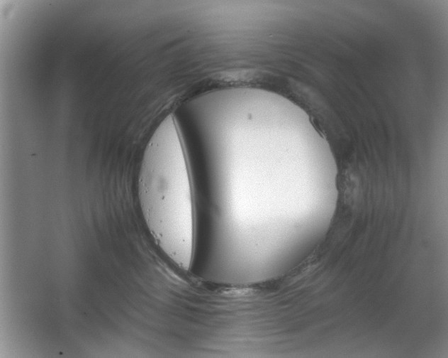 X0000067460428200604070931