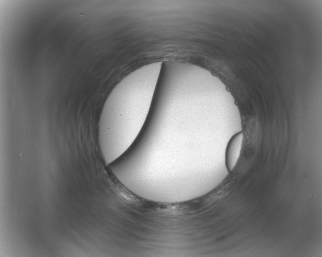 X0000067460430200604070931