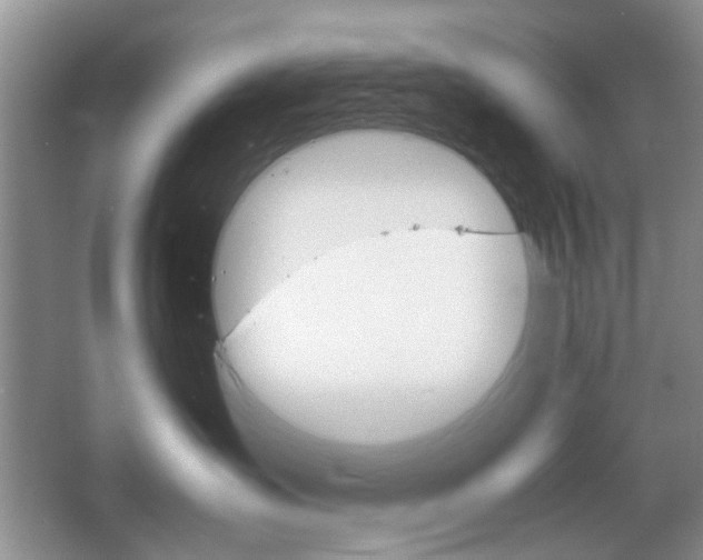 X0000067460431200604070931